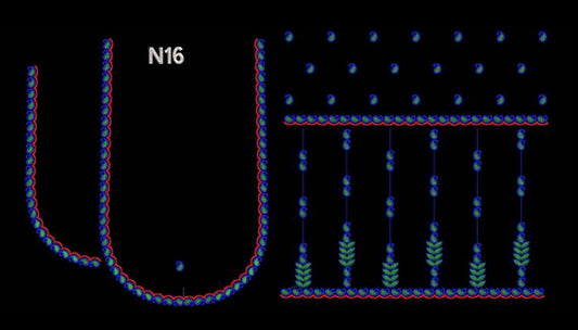 RRR N16